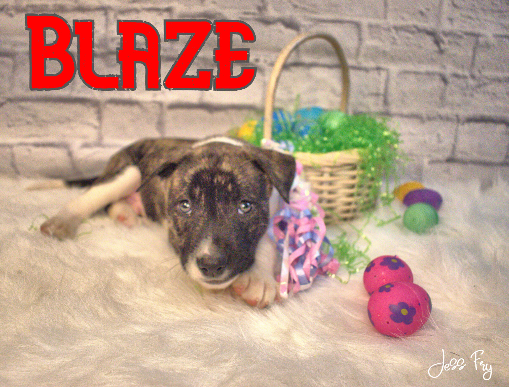 Blaze